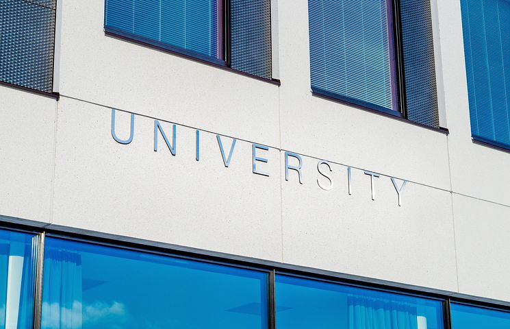 大学